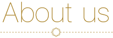 关于我们